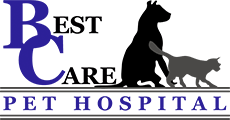 Best Care Pet Hospital In Omaha Nebraska