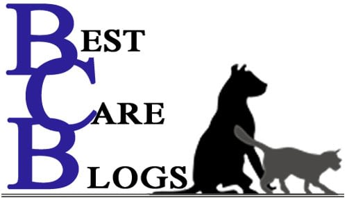 Best Care Pet Hospital Millard generatles