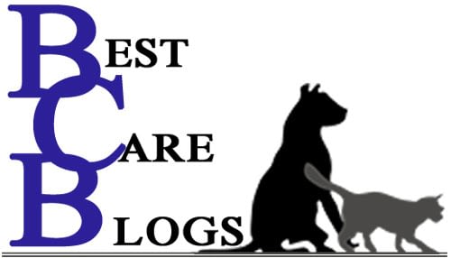 Best Care Pet Hospital In Omaha Nebraska